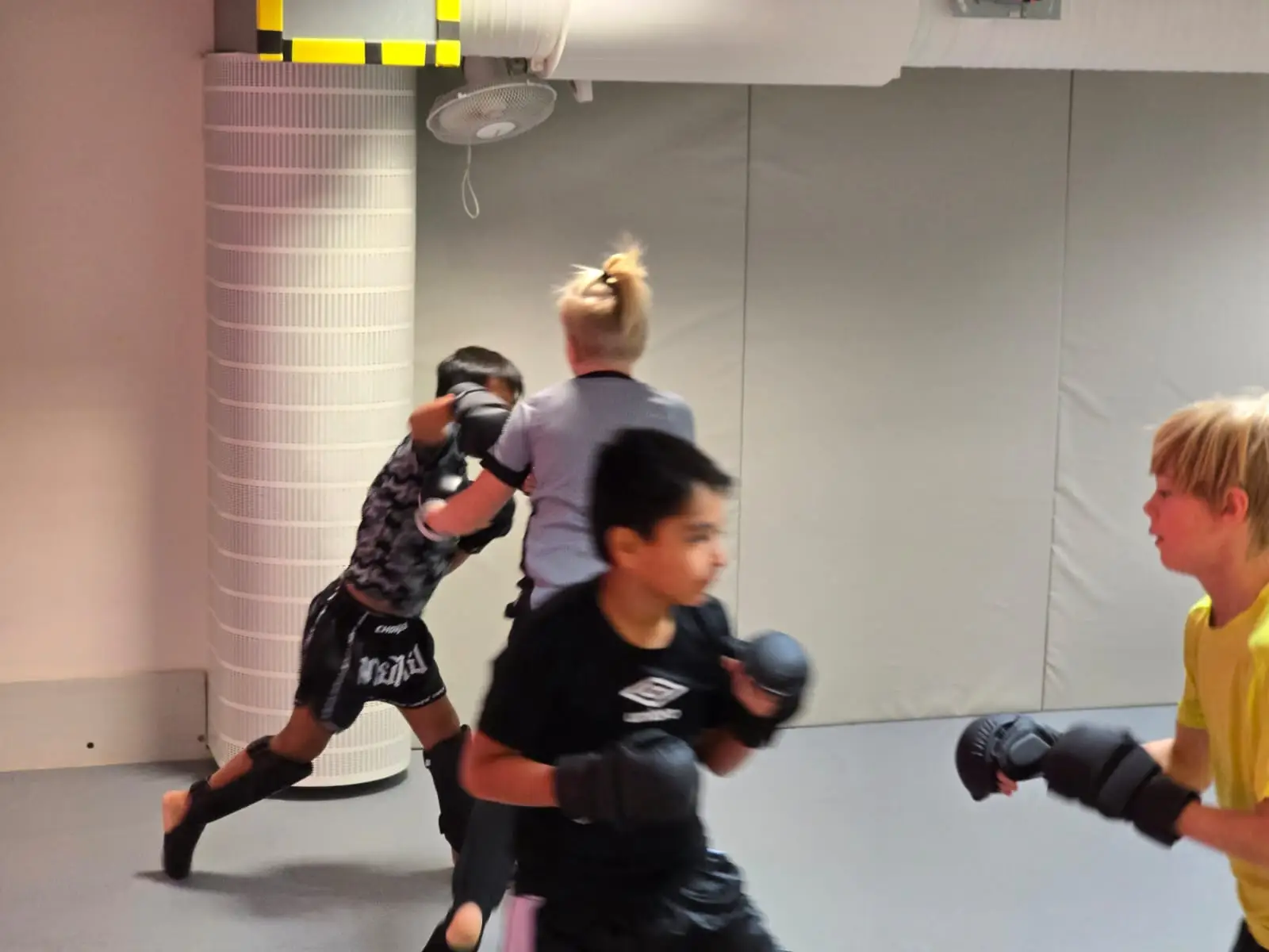 mma jr